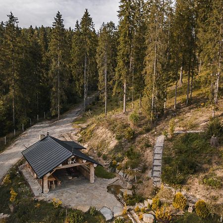 Domek W Halpusie Villa Łapsze Niżne Dış mekan fotoğraf