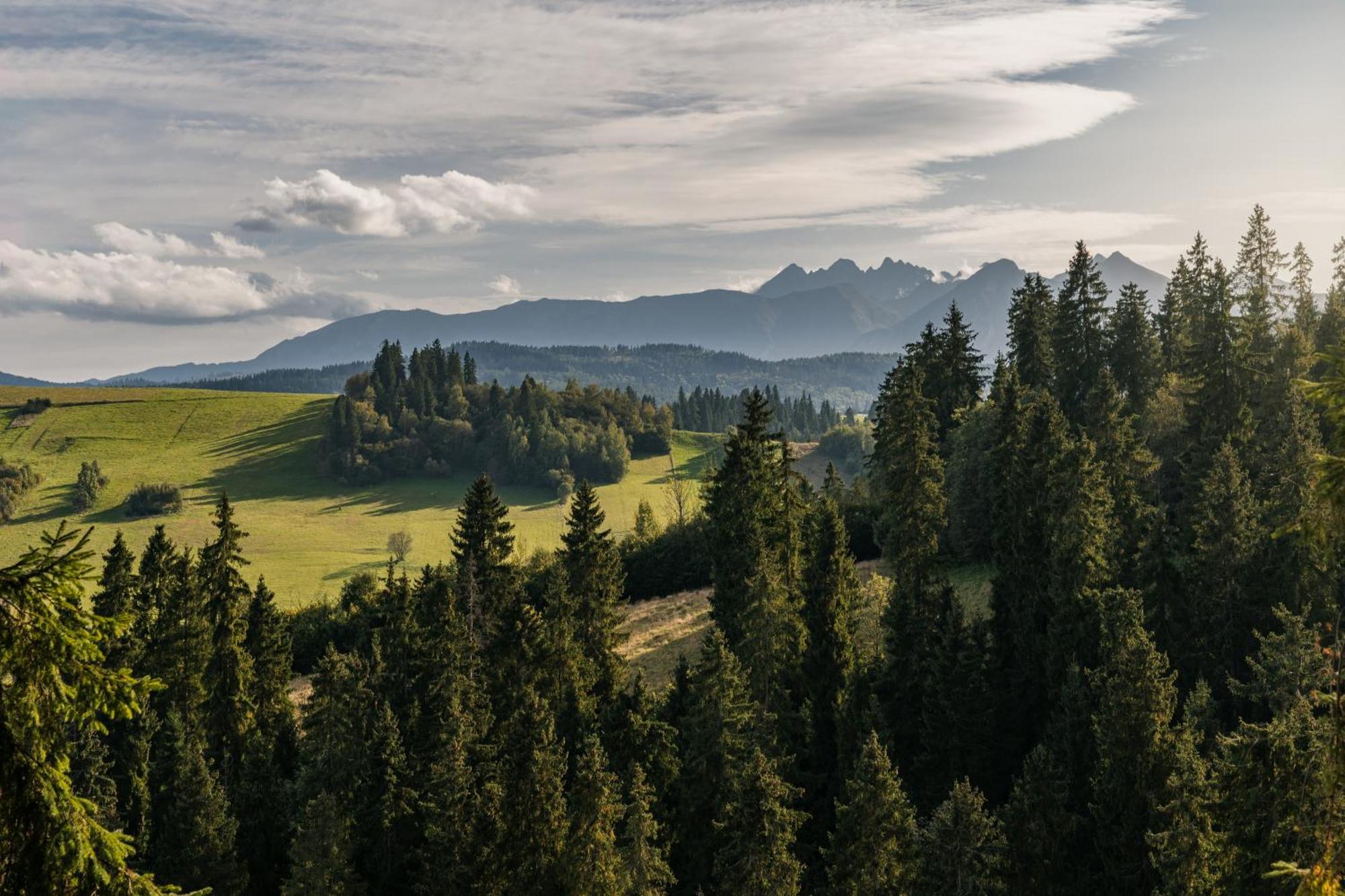 Domek W Halpusie Villa Łapsze Niżne Dış mekan fotoğraf